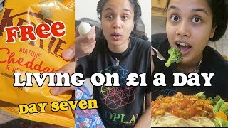 living on £1 a day for a week - day seven