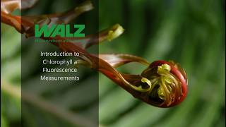 WALZ Tutorial - Introduction to Chlorophyll a Fluorescence Measurements
