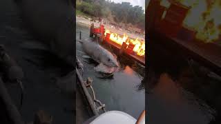 ⚠️SHARK ATTACK⚠️ #UniversalStudios #StudioTour #Jaws #Shorts #Fyp #foryou #themepark #tiktok Net Worth