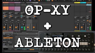 Celebrity OP-XY + ABLETON LIVE | Quick tip tutorial on how to sync scenes! Net Worth
