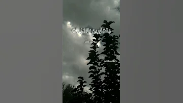 إن المسلمين والمسلمات والمؤمنين والمؤمنات صلا بو خاطر 