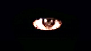 PUPPET COMBO's Photography Giallo Demo