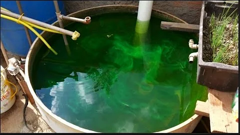 Como funciona o aqualife?