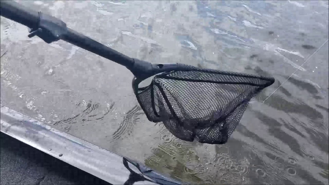 Catfishing on Lake Sinclair YouTube