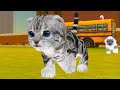 Парк КОШЕК с Кидом #1 Странный СИМ КОТЕНКА в Cat Simulator на пурумчата