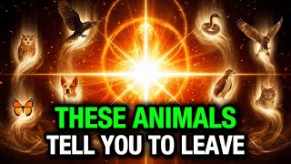 7 animaux qui apparaissent lorsque Dieu veut que vous quittiez un lieu ou une personne