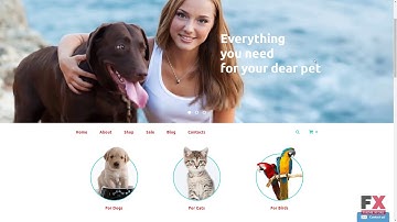 PetShop OpenCart Template TMT | Free Template  Toros Bram