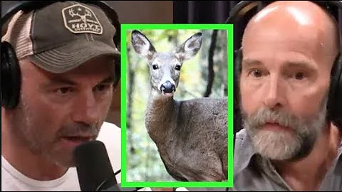 Joe Rogan - Wildlife Biologist on Deadly Deer Disease!