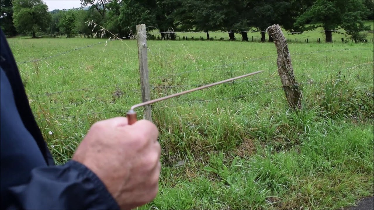 recherche d'un ancien cimetière avec des baguettes de sourcier