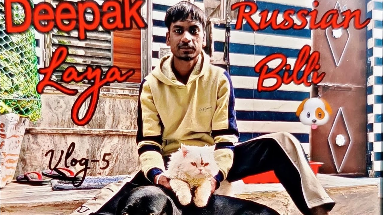 Deepak Laya chor bazar se dog our cat😱🐱🐶part-1