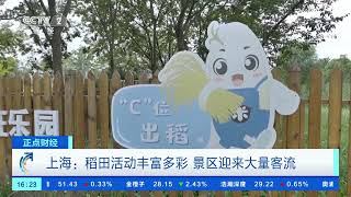 [正点财经]上海：稻田活动丰富多彩 景区迎来大量客流| 财经风云