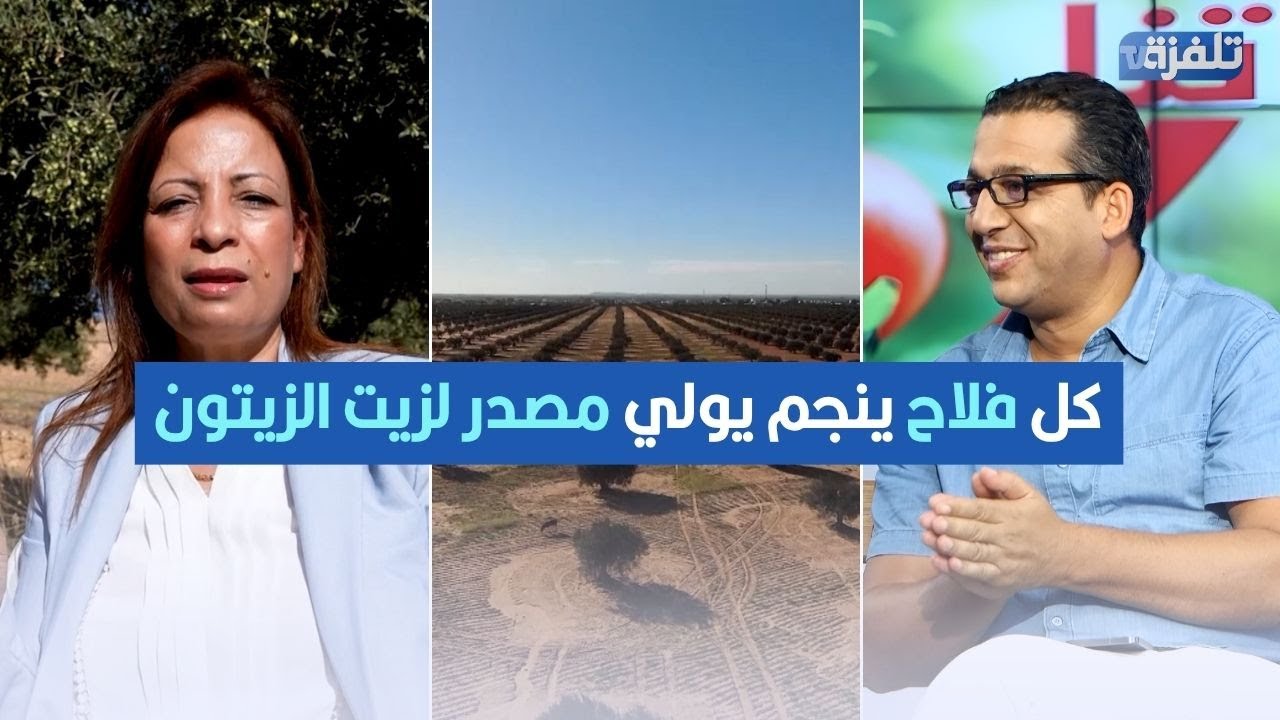 كل فلاح ينجم يولي مصدر لزيت الزيتون. يمكنك الحصول على ترخيص مصدر