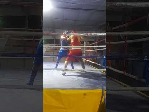 مستقبل الملاكمة بنادي المؤسسة الرياضية بالإسكندرية