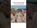 types of wedding ✨#edit #bollywood #celebrity #wedding #shortsfeed #ytshorts #couple #shorts #love