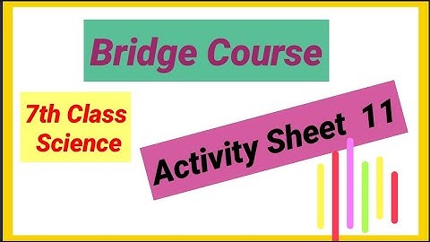 7th class | Science | Activity Sheet 11 | Bridge Course | Semi English Medium | Day 11 |