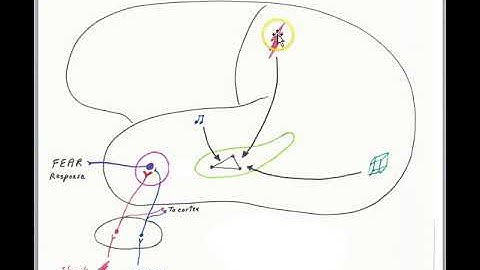 2018 Fear conditioning