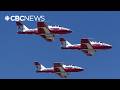 Grounding Snowbirds sparks mixed reactions
