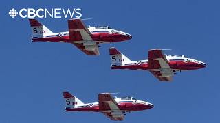 Grounding Snowbirds sparks mixed reactions