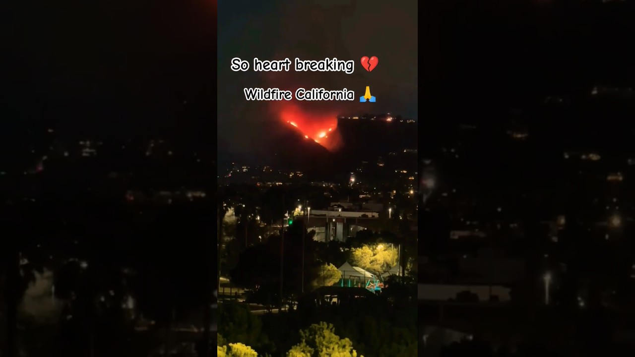 Heartbreaking Wildfire in Los angles California 