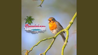 Flight to Tranquility: Harmonic Bird Calls for Inner Calmness