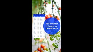 Want Thriving Plants Every Time? Master This ONE Measurement! 🌱