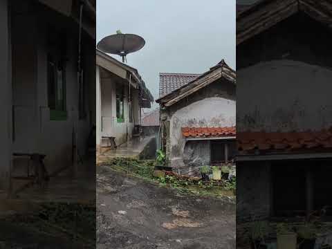 Heavy Rain on a Village Footpath 🌧️ Relaxing Rural ASMR #Shorts