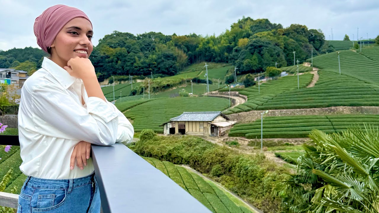 Source of best matcha in the world 