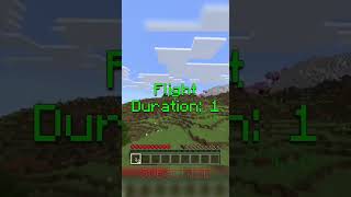 🎆 firework in Minecraft #minecraft