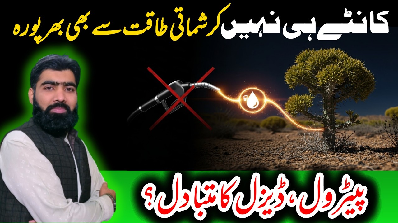 Danda Thor (Euphorbia caducifolia): Medicinal Benefits & Its Potential as a Bio-Energy Source