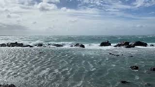IMG 0918