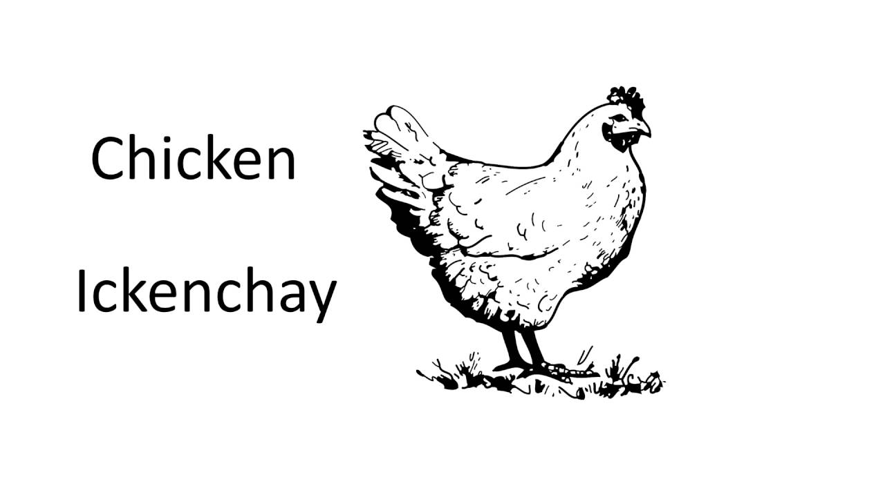 learn how to speak pig latin