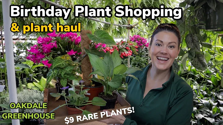 $9 Rare Plants! Amazing Houseplant Shopping & Indo...