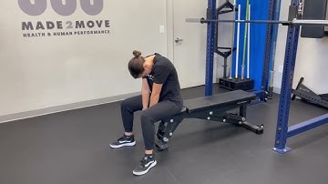 Seated Jefferson Curl