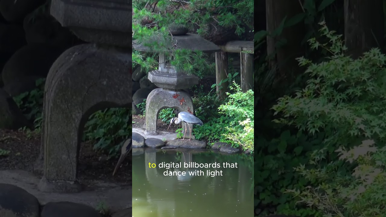 Tokyo: Tradition Meets Tomorrow 