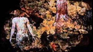 Phil and the Osophers - Well Being