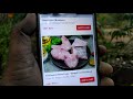 How to order in Licious using COD || క్యాష్ ఆన్ డెలివరీని ఉపయోగించి Licious లో ఎలా ఆర్డర్ చేయాలి