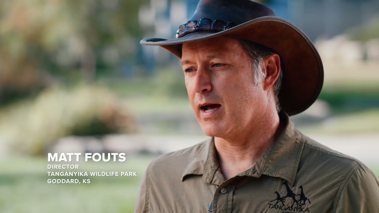 Fast Business Internet: The IdeaTek Difference