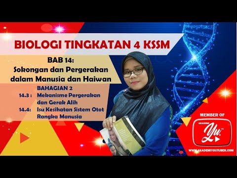 Video: Jangan Tekan Tekanan Haiwan - Memerangi Ia