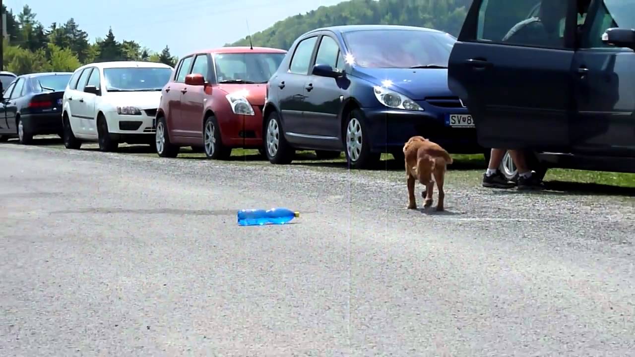 Lačnovská anomália: Slovenské miesto, kde gravitácia neplatí