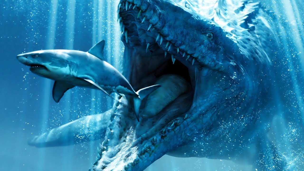 Giant Great White Shark Eaten By MONSTER Mystery Finally Solved - YouTube