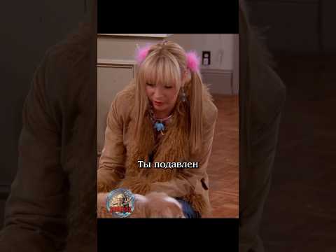 😢 Пес перенял стресс #сериал #отношения #юмор #friends