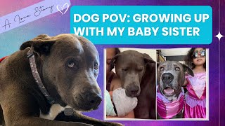 DOG POV: Adorable 80-pound Dog meets new Best Friend (Pitbull and Toddler Story) by The Wolf and Bears 20 views 9 months ago 1 minute, 22 seconds