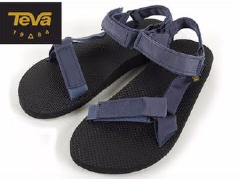 teva 1004006