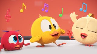 Chicky's Music Group | Where's Chicky?  | Cartoon Collection In English For Kids | New Episodes
