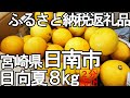 【2分紹介ふるさと納税】日向夏9㎏【宮崎県日南市】