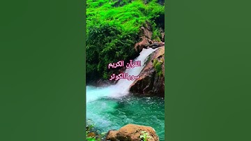 #surahkawthar #سورة_الكوثر #القرآن_الكريم #egzonibrahimi #hearttouching tilawat e Qur'an kareem