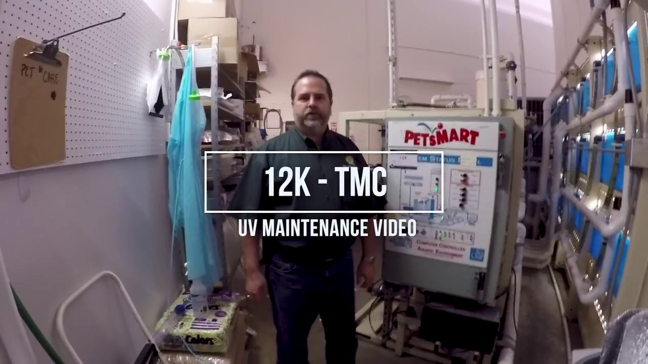 petsmart uv sterilizer