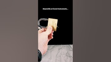 Professional Lock Picking by Professionals