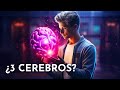 🧠 La COMUNICACIÓN Misteriosa de los 3 CEREBROS HUMANOS