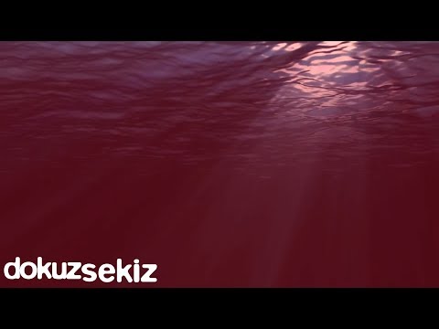 Cihan Mürtezaoğlu - Kardelen (Lyric Video)